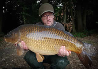 29LBCREASED
